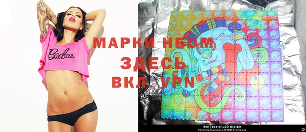 бошки Алексин
