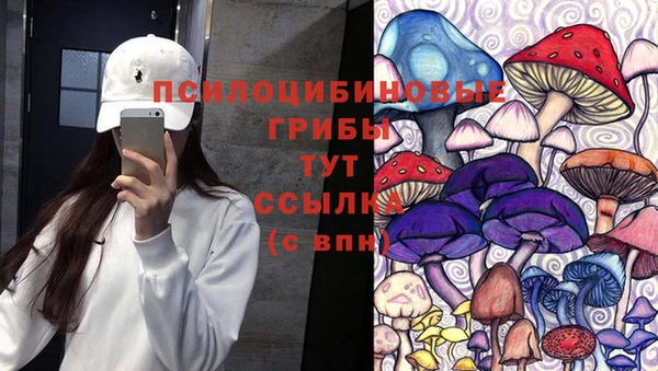 бошки Алексин