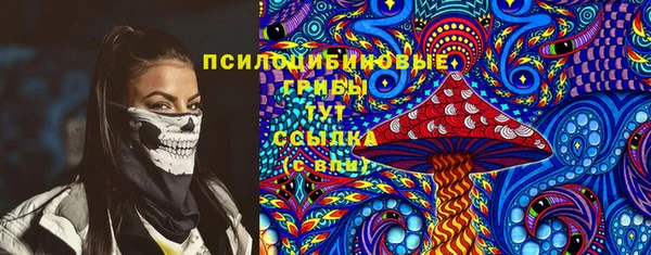 бошки Алексин