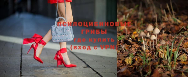 бошки Алексин